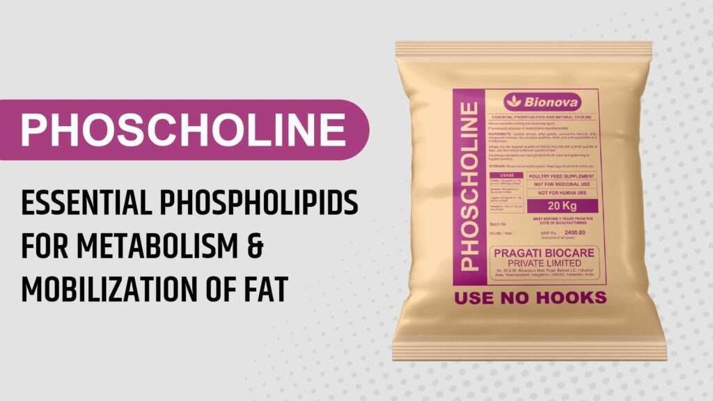 Supplementing poultry feed with choline chloride offers several benefits